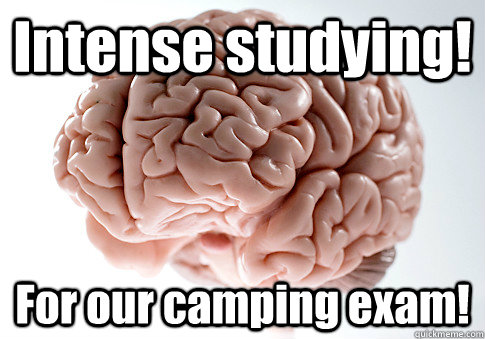 Intense studying! For our camping exam!   Scumbag Brain