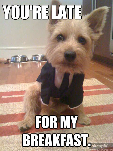 You're late For my breakfast. - You're late For my breakfast.  Yet another business dog