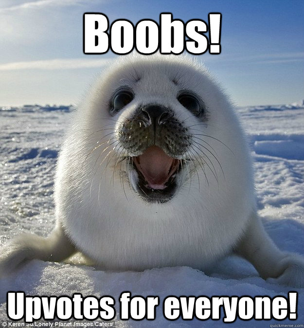 Boobs! Upvotes for everyone!  Easily Pleased Seal