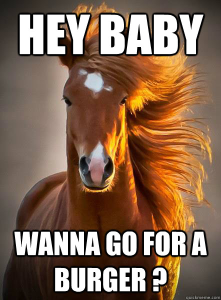 hey baby wanna go for a burger ?  Ridiculously Photogenic Horse