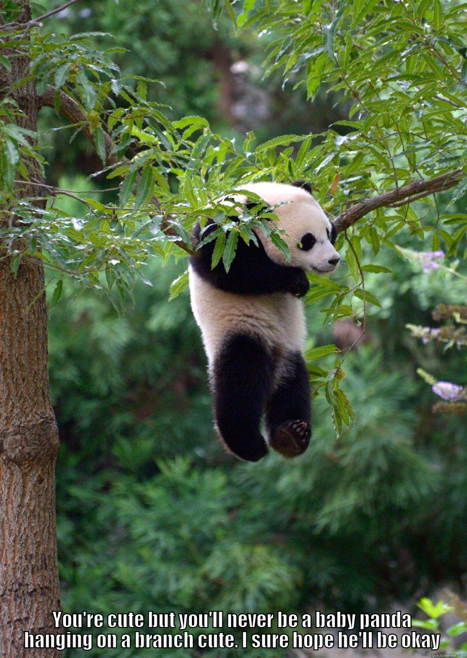 baby panda -  YOU'RE CUTE BUT YOU'LL NEVER BE A BABY PANDA HANGING ON A BRANCH CUTE. I SURE HOPE HE'LL BE OKAY Misc
