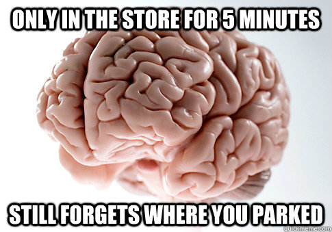 Only in the store for 5 minutes Still forgets where you parked  Scumbag Brain