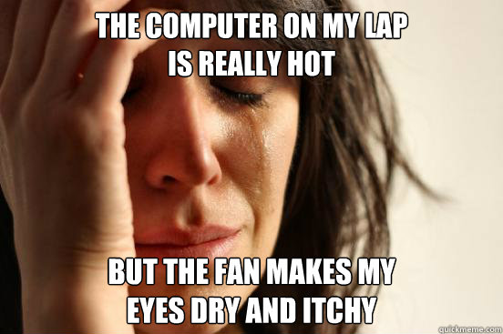 The computer on my lap 
is really hot but the fan makes my 
eyes dry and itchy  First World Problems