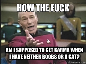 How the fuck am I supposed to get karma when I have neither boobs or a cat?  Annoyed Picard