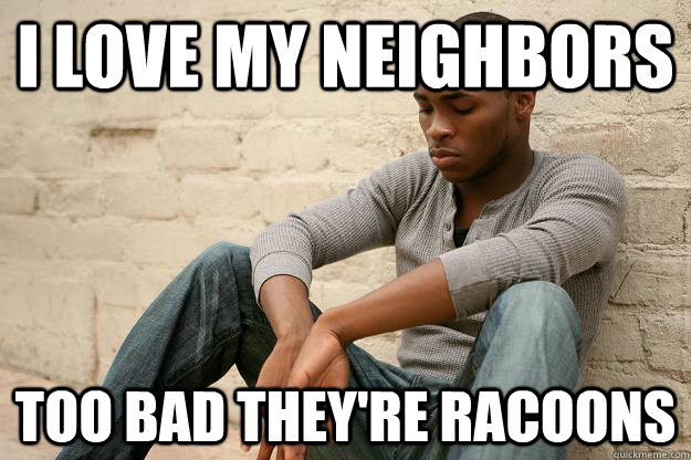 i love my neighbors too bad they're racoons - i love my neighbors too bad they're racoons  Unsuccessful Black Man