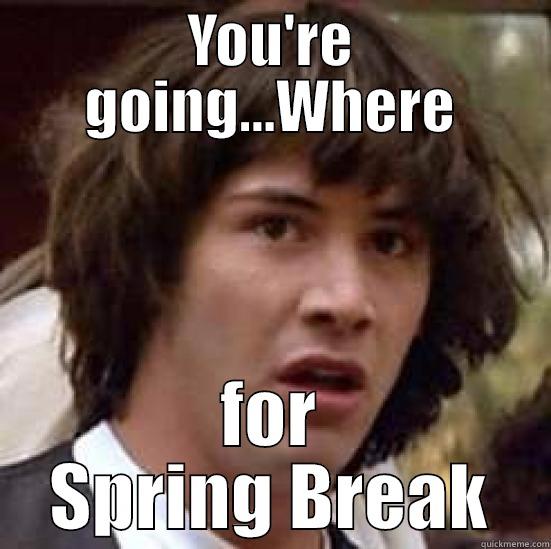 I don't believe it!! - YOU'RE GOING...WHERE FOR SPRING BREAK conspiracy keanu
