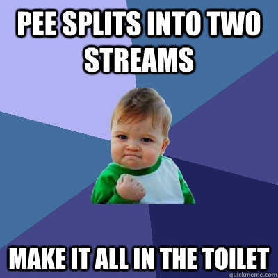 Pee splits into two streams Make it all in the toilet  Success Kid