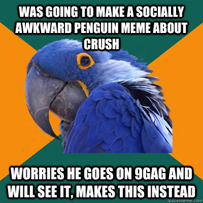 Was going to make a socially awkward penguin meme about crush Worries he goes on 9gag and will see it, makes this instead  Paranoid Parrot