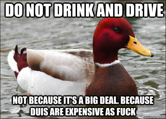 Do not drink and drive not because it's a big deal. because duis are expensive as fuck  Malicious Advice Mallard