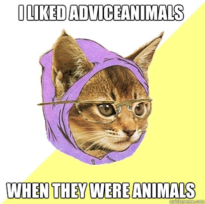 I liked adviceanimals when they were animals - I liked adviceanimals when they were animals  Hipster Kitty