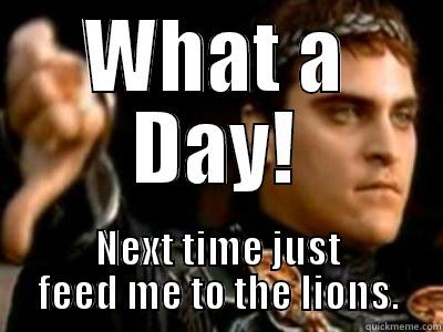 WHAT A DAY! NEXT TIME JUST FEED ME TO THE LIONS. Downvoting Roman