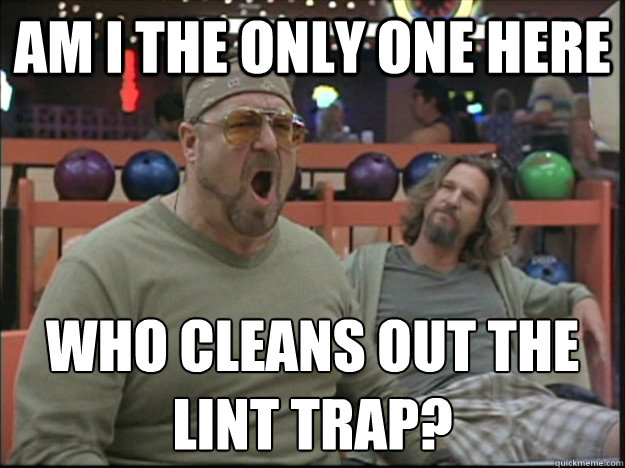 am i the only one here who cleans out the lint trap?  Goodman rage