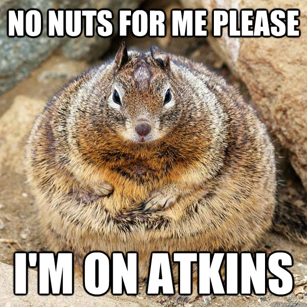 no nuts for me please I'm on Atkins - no nuts for me please I'm on Atkins  Obese American Squirrel