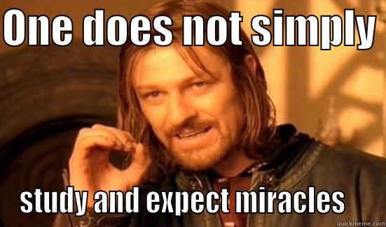 ONE DOES NOT SIMPLY  STUDY AND EXPECT MIRACLES    Boromir