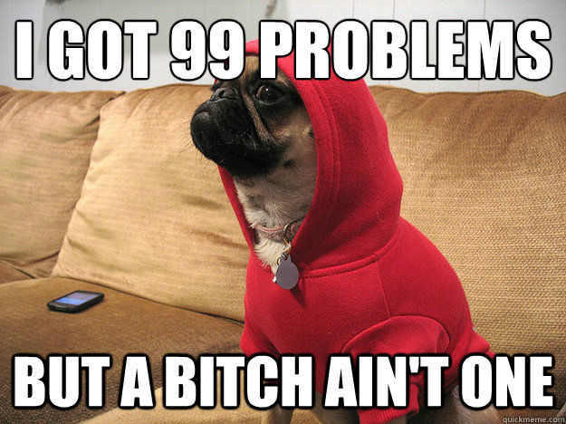 I got 99 problems but a bitch ain't one  Thug Dog