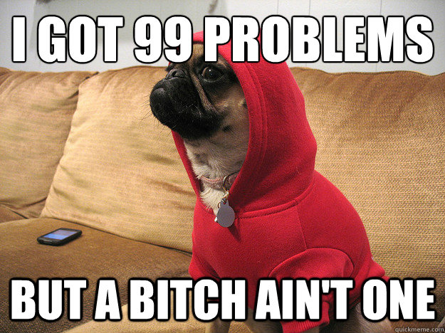 I got 99 problems but a bitch ain't one  