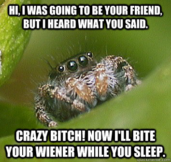 Hi, I was going to be your friend, but I heard what you said. crazy bitch! Now I'll bite your wiener while you sleep.  Misunderstood Spider