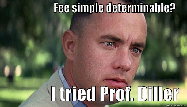 Law school -                       FEE SIMPLE DETERMINABLE?                 I TRIED PROF. DILLER  Offensive Forrest Gump