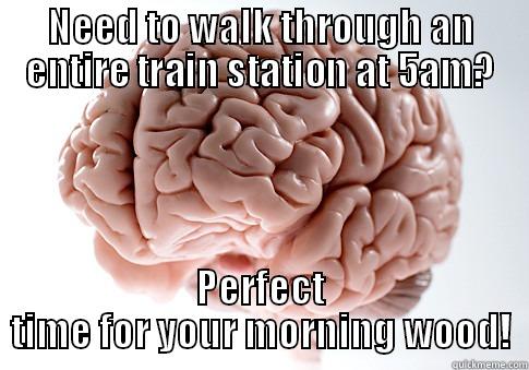 NEED TO WALK THROUGH AN ENTIRE TRAIN STATION AT 5AM? PERFECT TIME FOR YOUR MORNING WOOD! Scumbag Brain
