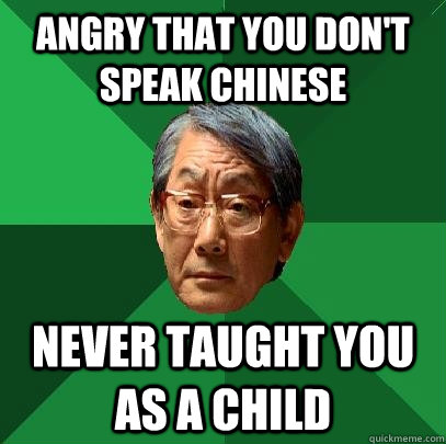 Angry that you don't speak Chinese Never taught you as a child  High Expectations Asian Father