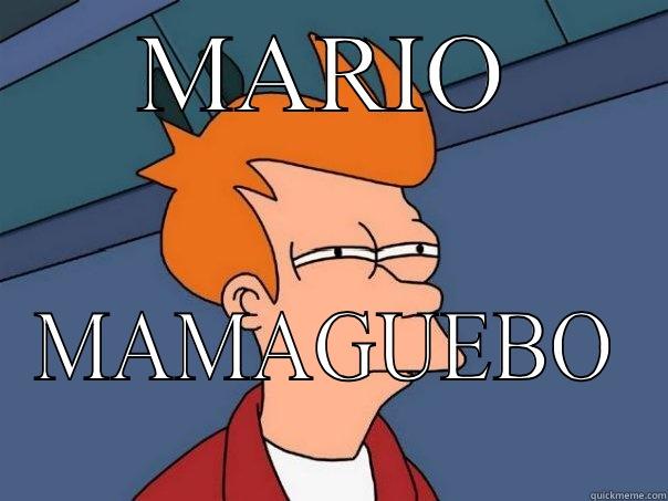 MARIO MAMAGUEBO Futurama Fry