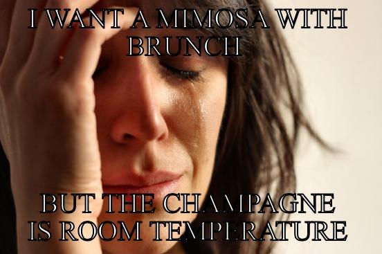 I WANT A MIMOSA WITH BRUNCH  BUT THE CHAMPAGNE IS ROOM TEMPERATURE First World Problems