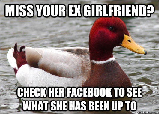 Miss your ex girlfriend? Check her facebook to see what she has been up to  Malicious Advice Mallard