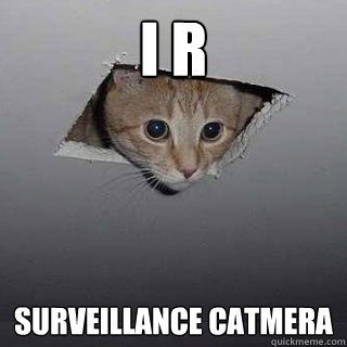 i r  surveillance catmera  Ceiling Cat