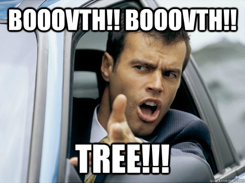 Booovth!! Booovth!!  TREE!!!  Asshole driver