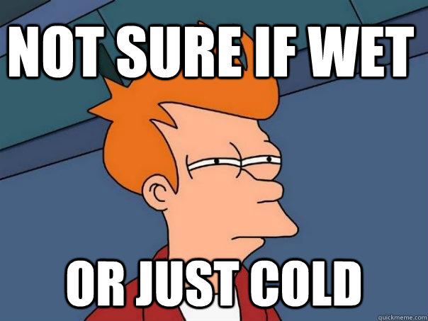 Not sure if wet or just cold  Futurama Fry