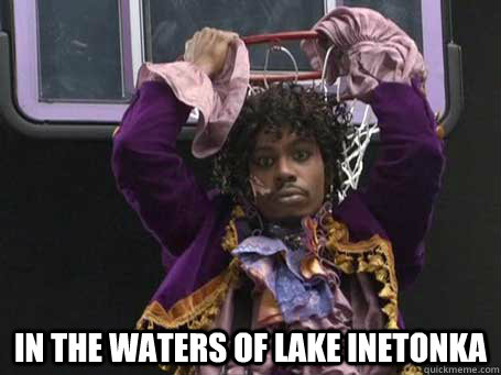    Purify Yourself In the waters of Lake inetonka  