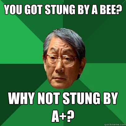 you got stung by a bee? why not stung by a+?  High Expectations Asian Father