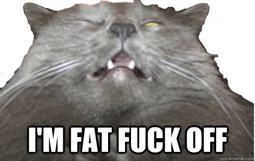 i'm fat Fuck off - i'm fat Fuck off  Fatcat