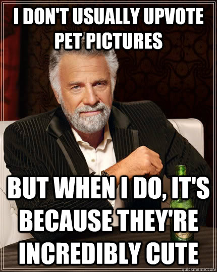 I don't usually upvote pet pictures but when I do, it's because they're incredibly cute  The Most Interesting Man In The World