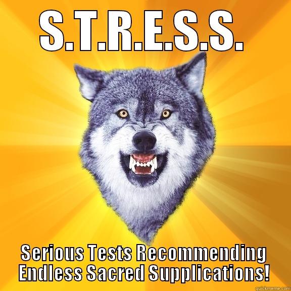 S.T.R.E.S.S. SERIOUS TESTS RECOMMENDING ENDLESS SACRED SUPPLICATIONS! Courage Wolf