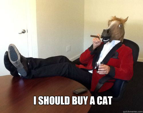 I should buy a cat - I should buy a cat  Misc