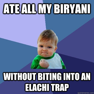 Ate all my biryani Without biting into an Elachi trap  Success Kid