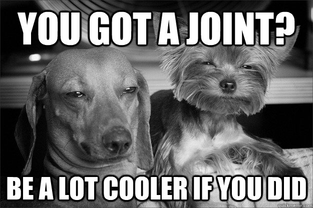 You got a joint? be a lot cooler if you did - You got a joint? be a lot cooler if you did  doggs