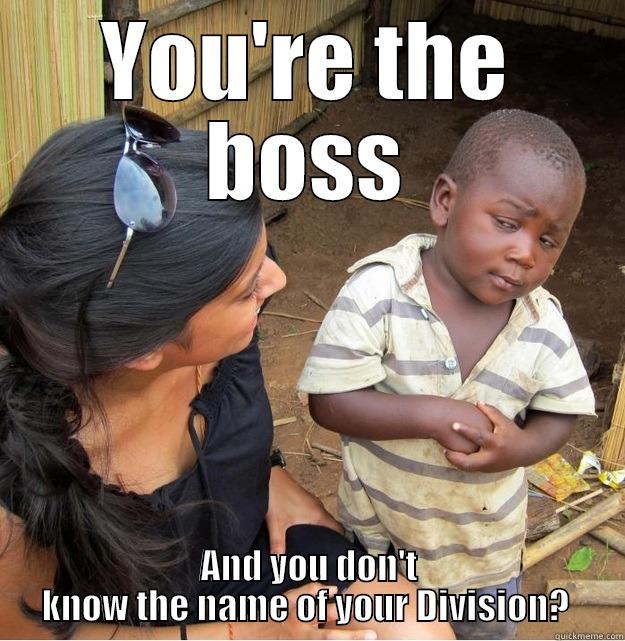 YOU'RE THE BOSS AND YOU DON'T KNOW THE NAME OF YOUR DIVISION?  Skeptical Third World Kid