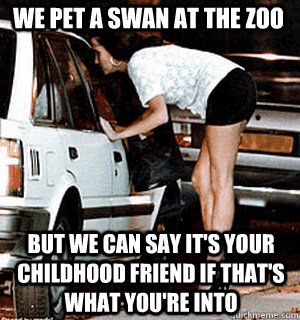 we pet a swan at the zoo But we can say it's your childhood friend if that's what you're into  Karma Whore