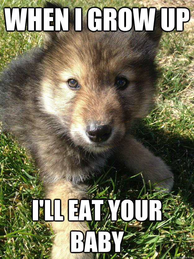 When I grow up I'll eat your baby  innocent wolf pup