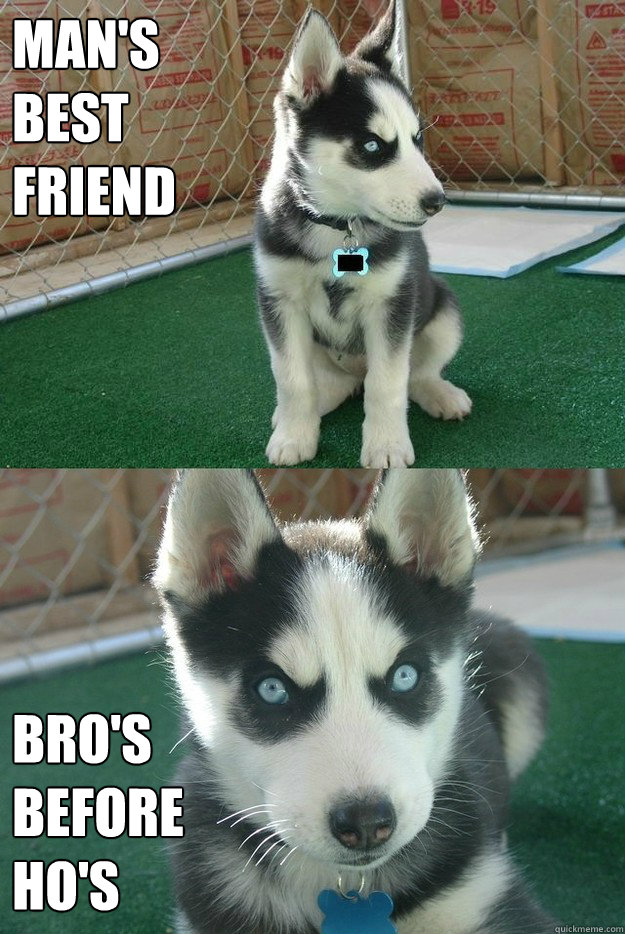 Man's 
best 
friend Bro's 
before
Ho's   Insanity puppy
