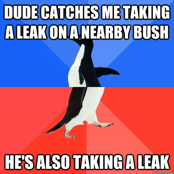 dude catches me taking a leak on a nearby bush he's also taking a leak  Socially Awkward Awesome Penguin
