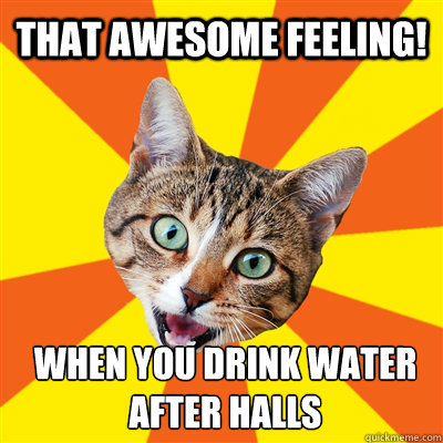 That awesome feeling! when you drink water after halls - That awesome feeling! when you drink water after halls  Bad Advice Cat