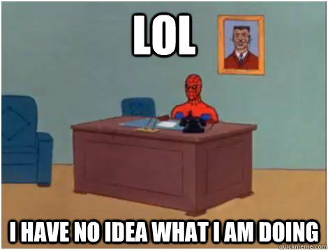 LOL I HAVE NO IDEA WHAT I AM DOING  