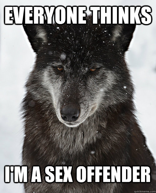 Everyone thinks I'm a sex offender  Sad Wolf