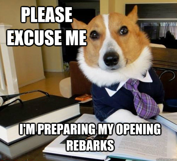 Please excuse me I'm preparing my opening rebarks  Lawyer Dog