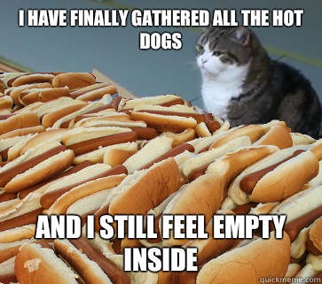 I have finally gathered all the hot dogs And I still feel empty inside   Hot Dog Cat