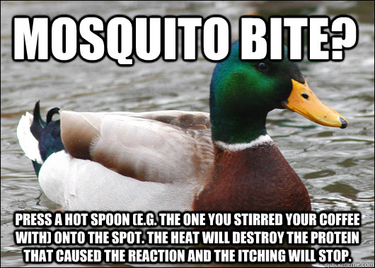 Mosquito bite? Press a hot spoon (e.g. the one you stirred your coffee with) onto the spot. The heat will destroy the protein that caused the reaction and the itching will stop. - Mosquito bite? Press a hot spoon (e.g. the one you stirred your coffee with) onto the spot. The heat will destroy the protein that caused the reaction and the itching will stop.  Actual Advice Mallard