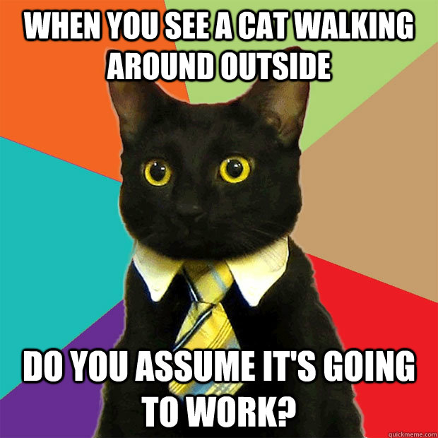 When you see a cat walking around outside do you assume it's going to work?  Business Cat